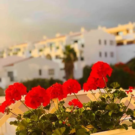 Apartamento Buenavista In Windsor Park Costa Adeje (Tenerife)