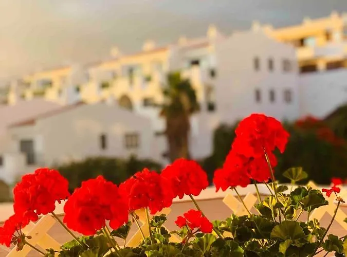 Apartmán Buenavista In Windsor Park Costa Adeje (Tenerife)
