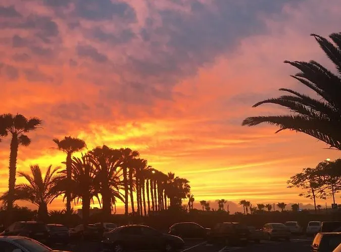 Buenavista In Windsor Park Appartement Costa Adeje (Tenerife)